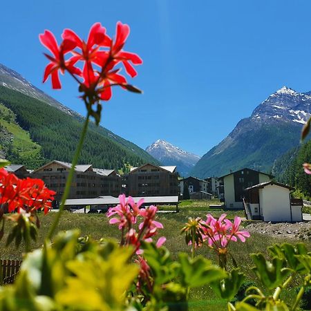 Appartement Haus Artemis à Saas-Grund Extérieur photo