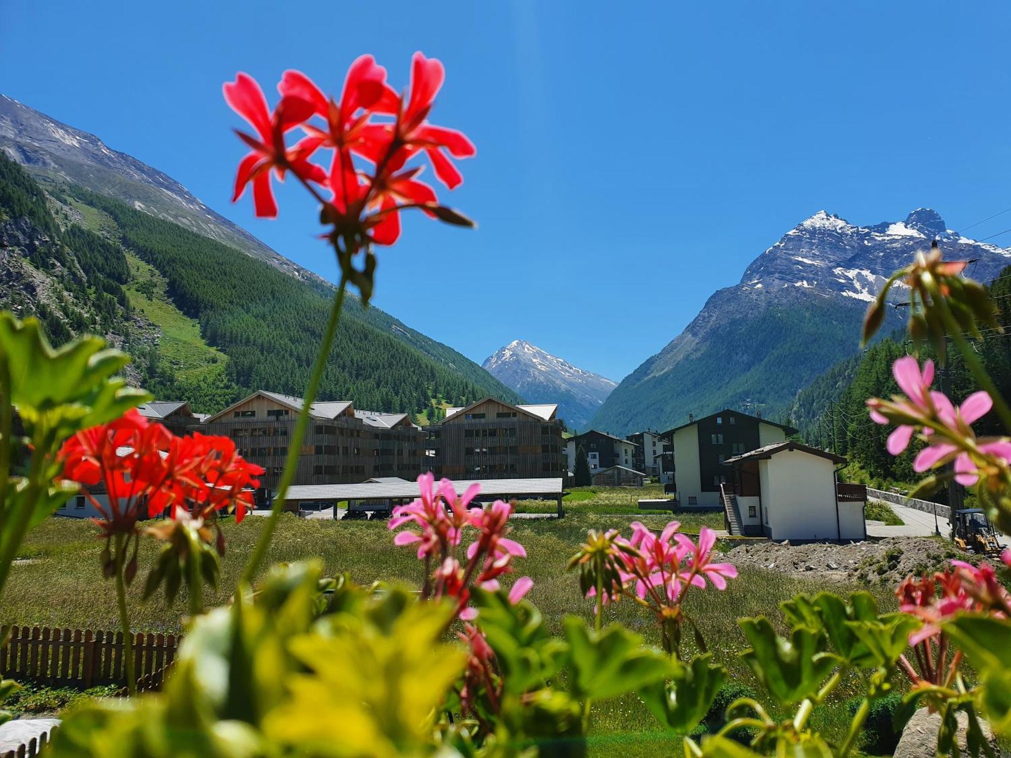 Appartement Haus Artemis à Saas-Grund Extérieur photo